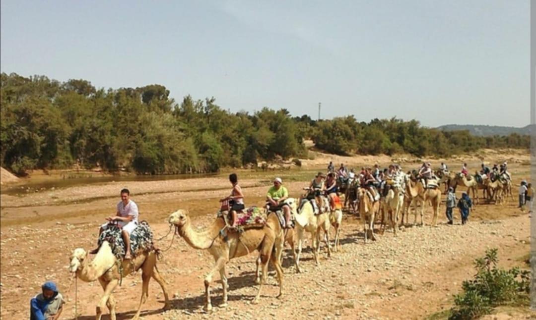 Riad Dar Salam Agadir Eksteriør billede